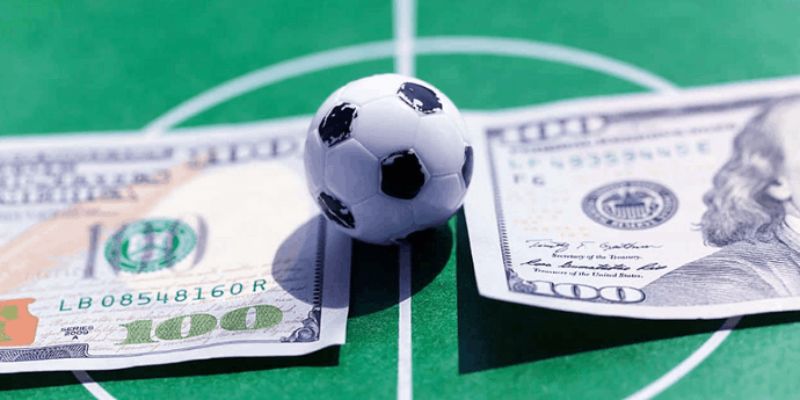 Đa dạng luật chơi cho người mới